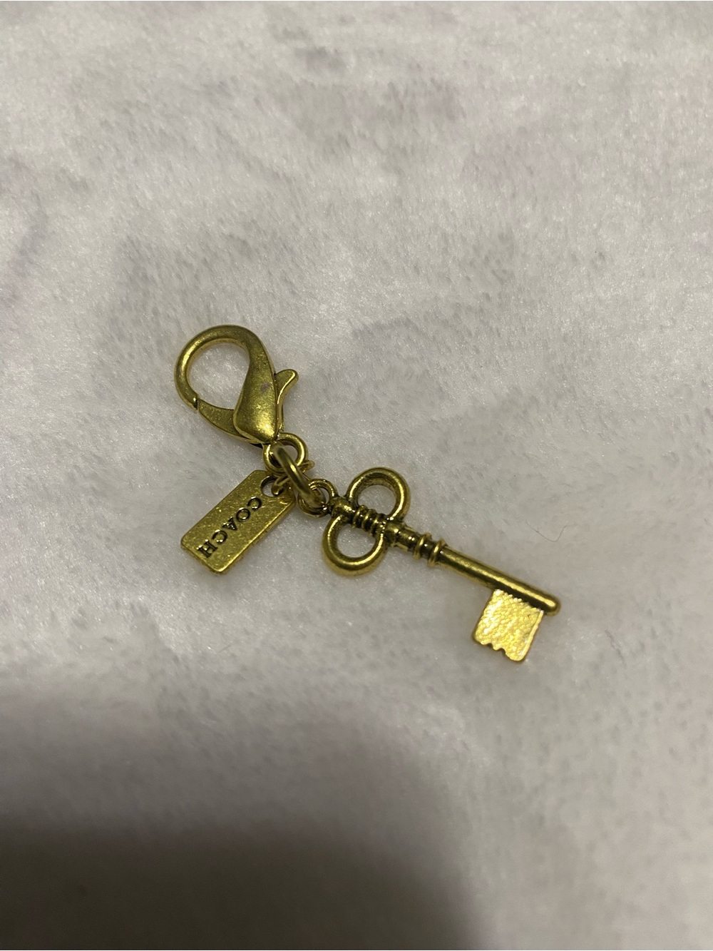 Coach Key Mini Charm